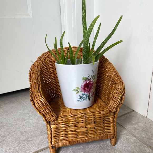 Wicker plant chair - Picture 2 of 4